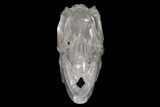 Carved Quartz Crystal Dinosaur Skull #227036-2